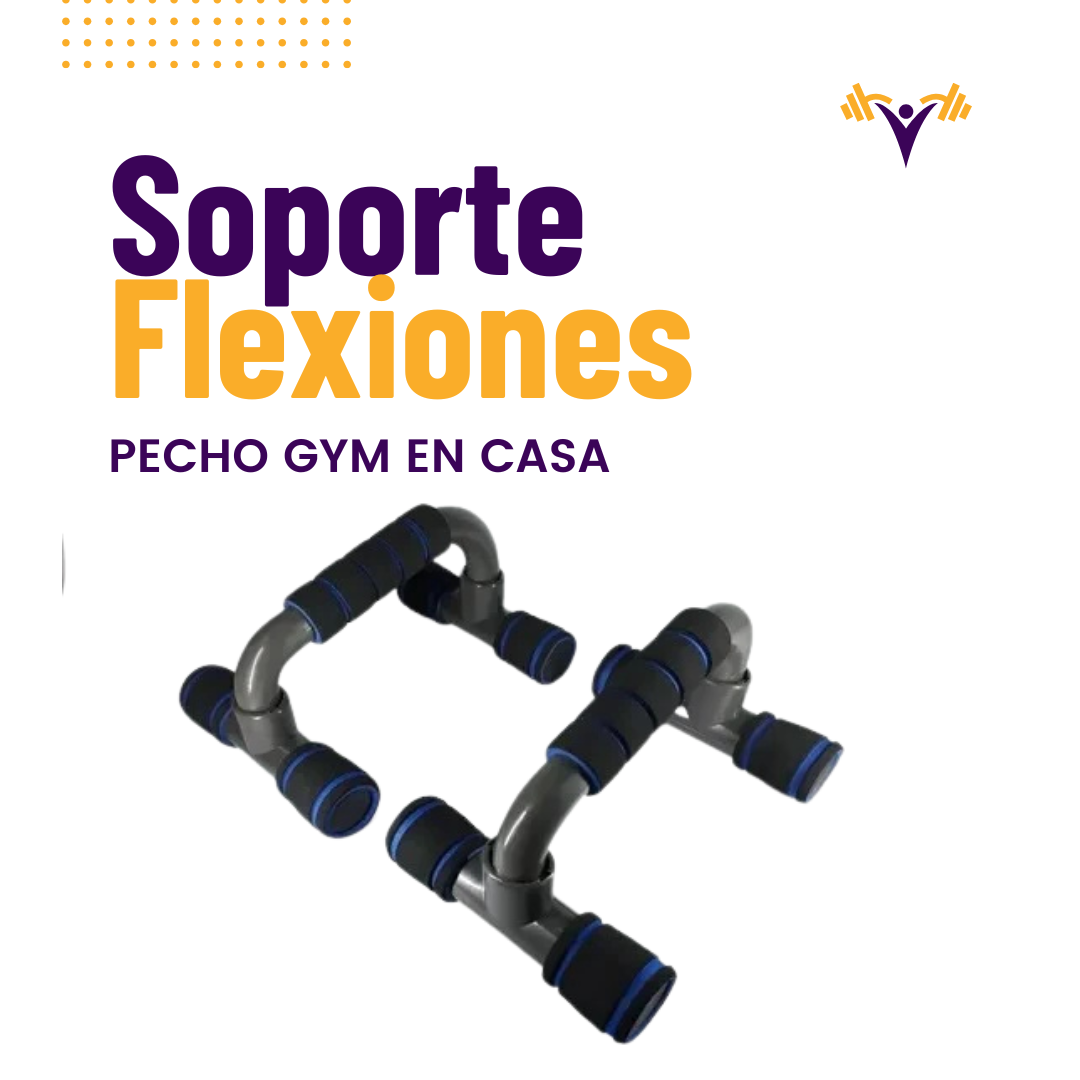 Soporte Flexiones Pecho Lagartijas Gym